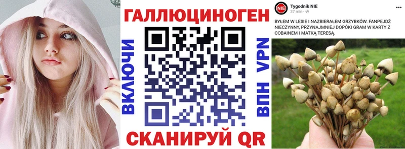Псилоцибиновые грибы Psilocybine cubensis  купить закладку  Махачкала 