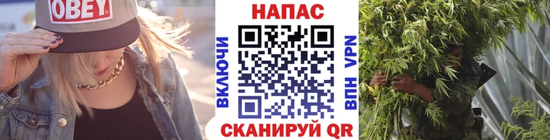 как найти Махачкала Бошки марихуана ГИДРОПОН